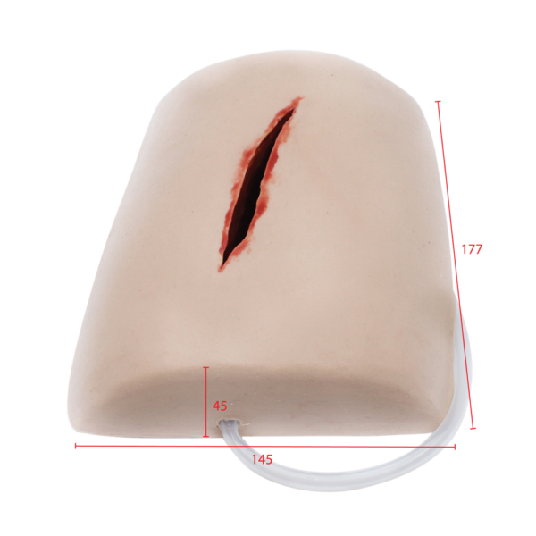 TRAUMASIM Laceration Haemostatic Clotting Trainer