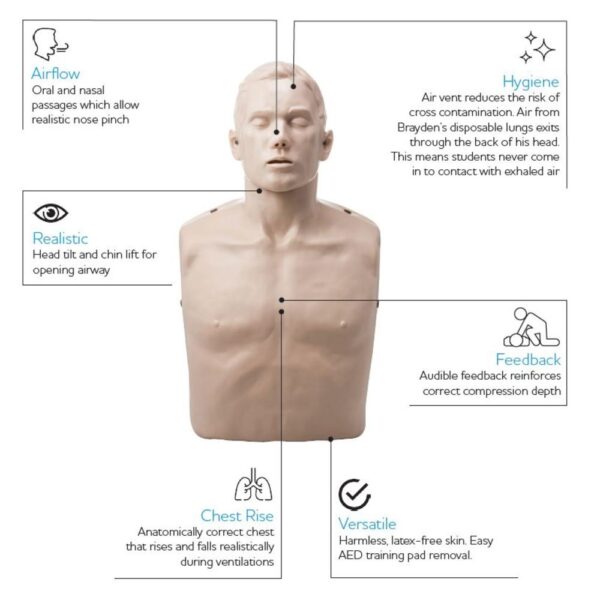 BRAYDEN Pulse CPR Manikin (With Lights)