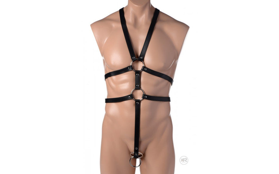 Male Full Body Harness