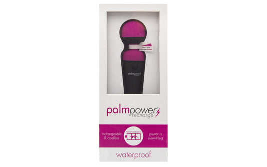 PalmPower Massage Wand Recharge Waterproof