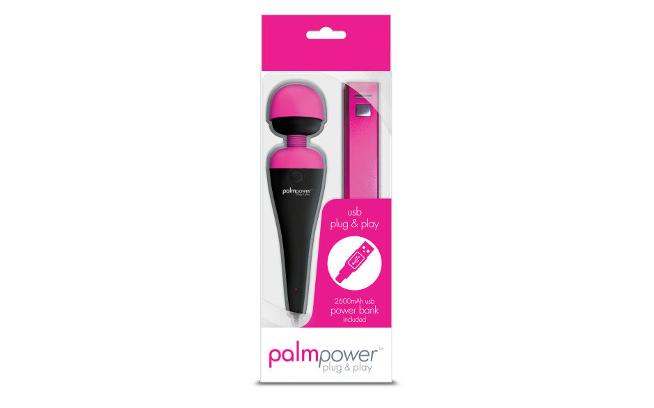 PalmPower Massage Wand Plug and Play USB