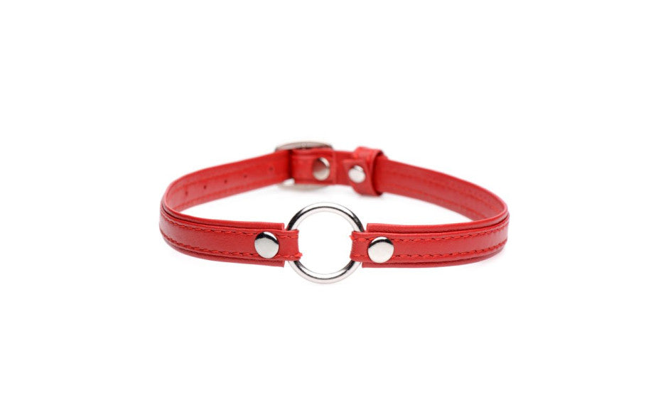 Fiery Pet Leather Choker w Silver Ring Red