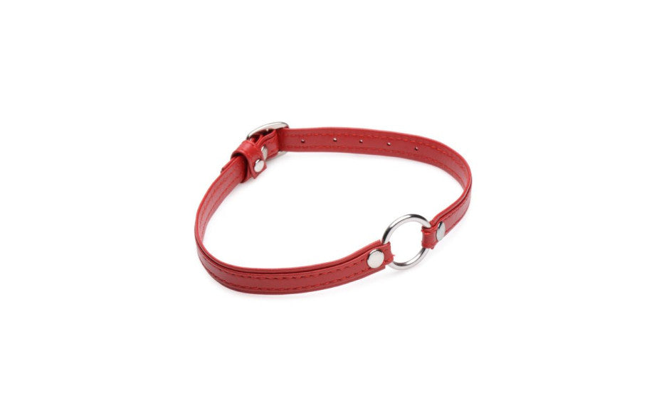 Fiery Pet Leather Choker w Silver Ring Red