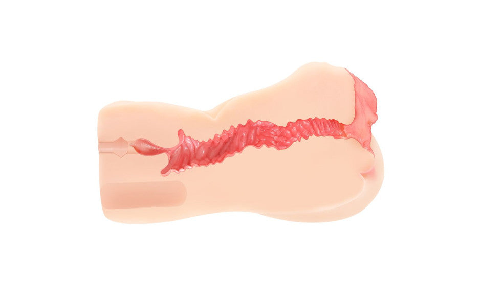 Vanilla Onahole Edn 4 Dual Layer 1:1 Handheld Pussy Masturbator