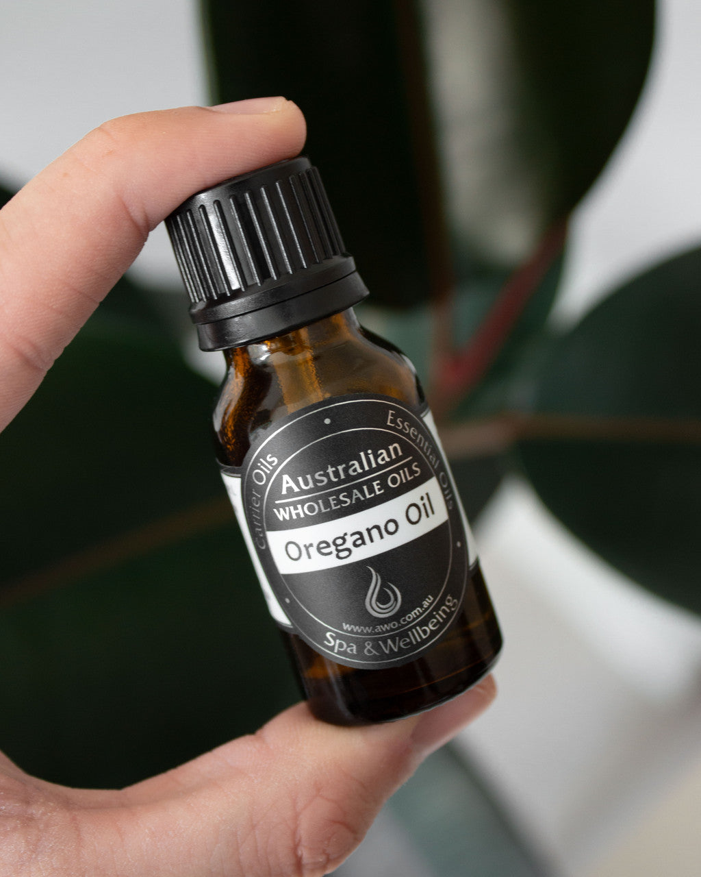 Pure Oregano Essential Oil