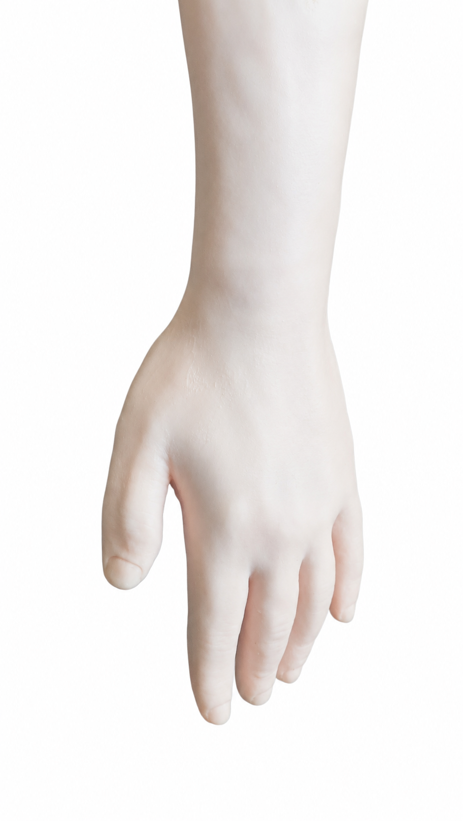 Training Injectable Arm Model for Medical Practice