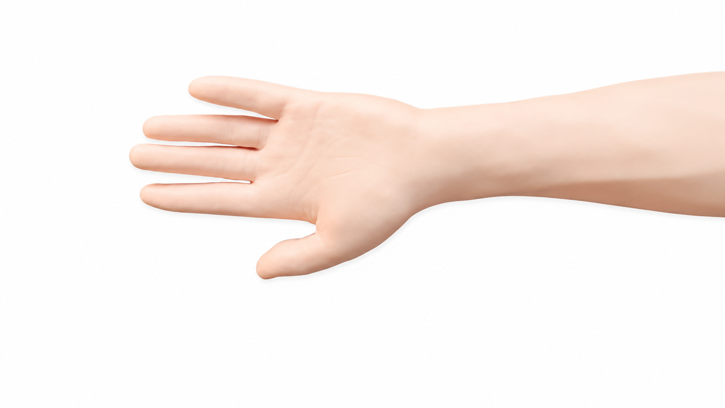 Training Injectable Arm Model for Medical Practice