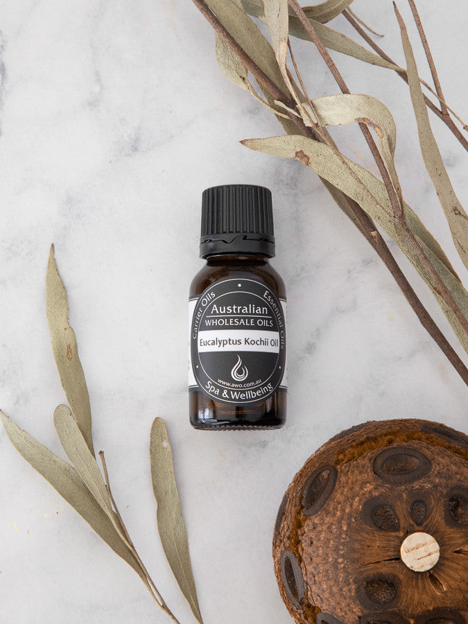 Eucalyptus Oil - Kochii
