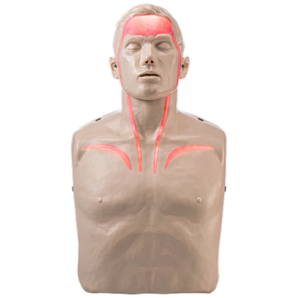 AEROLEARN Essential First Aid Trainer Equipment Starter Pack