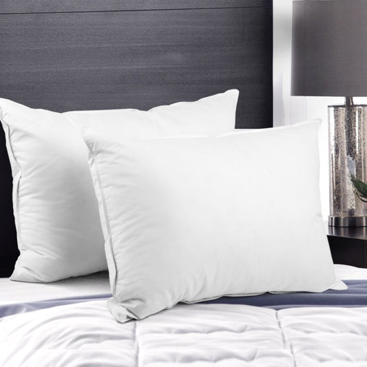 Duck Feather Down Pillow Twin Pack