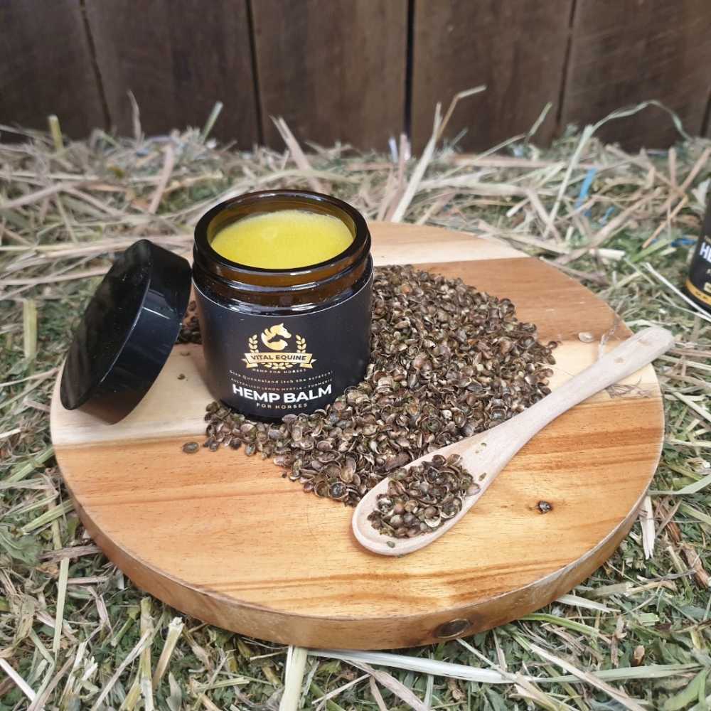 Hemp Starter Pack – Australian-Made Natural Horse Supplement for Joint, Skin & Recovery Support – Includes Hemp Seed Oil, Turmeric Blend & Lemon Myrtle Balm