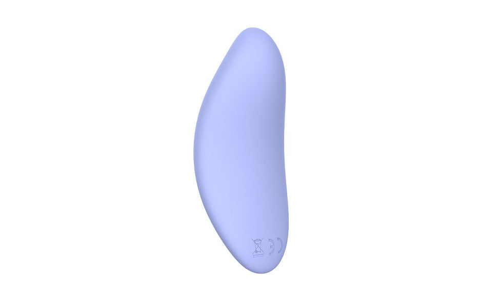 Destiny Vibrating Massager